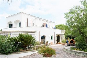 Hotel Ideal Insula Ischia