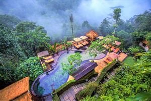 Hotel Nandini Jungle Resort And Spa Ubud