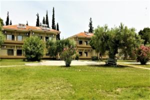 Hotel Olea Garden Sithonia