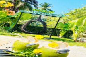 Hotel Palm Galleria Resort Khao Lak