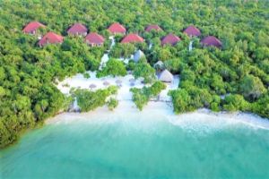 Hotel Pearl Beach Resort & Spa Pingwe