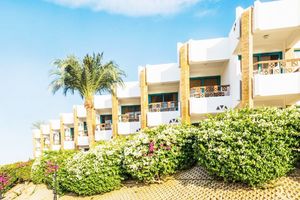 Hotel V Hotel Sharm El Sheikh Sharm El Sheikh