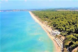 Hotel Sani Beach Hotel And Spa Kassandra