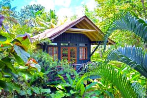 Hotel Sunset At The Palms Negril
