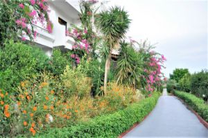 Hotel Tina Flora Rhodos