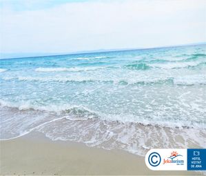 AMMON ZEUS 32 20181011152906