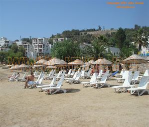 Poze 3 S BEACH CLUB 8