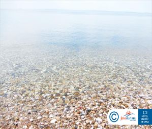 Poze 4 YOU BOUTIQUE 8