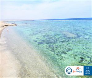 Poze ALBATROS SEA WORLD 23