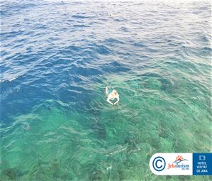 Poze ALBATROS SEA WORLD 28