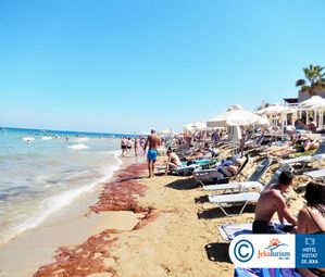 Poze AMMOS BEACH 8