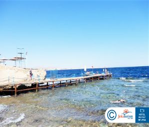 Poze AMPHORAS BLU 12