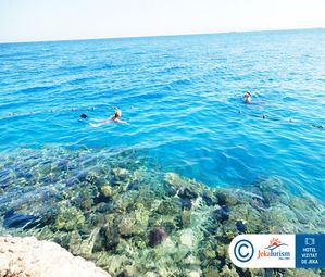 Poze ARABELLA AZUR 16