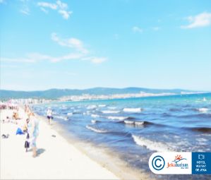 Poze ASTERIA FAMILY 14