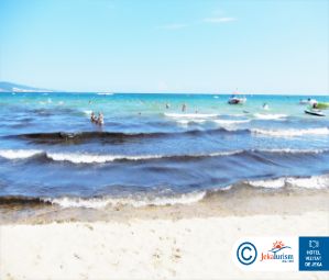 Poze ASTERIA FAMILY 15