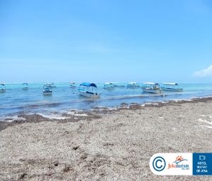 Poze Ahg Dream s Bay Boutique 14