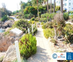 Poze Akti Beach Village Resort 19