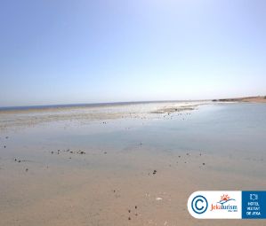 Poze Albatros Makadi Resort 17