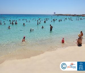 Poze Amethyst Napa 17