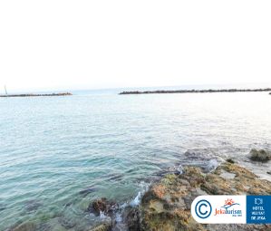 Poze Annabelle Resort 12