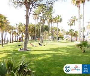 Poze BARUT ACANTHUS   CENNET 11