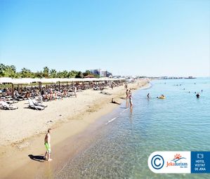 Poze BELLIS DELUXE 12