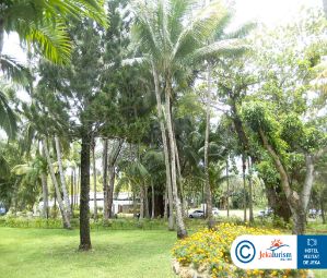 Poze Beachcomber Shandrani 15