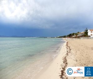 Poze Bg Rei Del Mediterrani 14