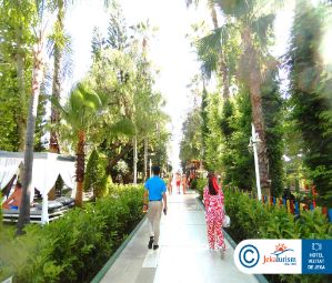 Poze Botanik Platinum 17