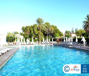 Poze Bq Delfin Azul 10