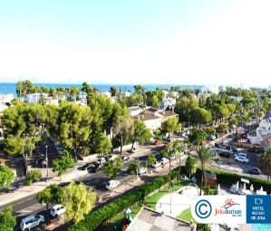 Poze Bq Delfin Azul 11