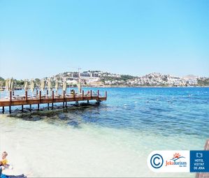 Poze CACTUS MIRAGE 10