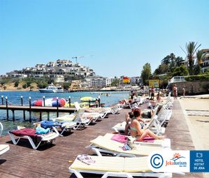 Poze CACTUS MIRAGE 8