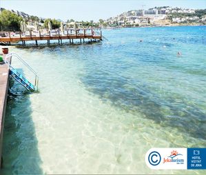 Poze CACTUS MIRAGE 9