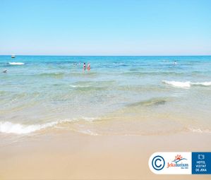 Poze CACTUS ROYAL 10