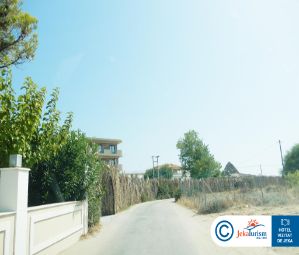 Poze CACTUS STUDIOS 12