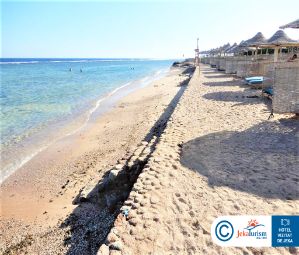 Poze CHARMILLION SEA LIFE 9