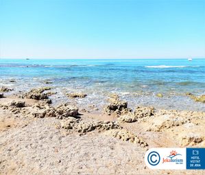 Poze CRYSTAL SUNRISE QUEEN 11