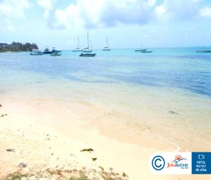 Poze Coin De Mire Attitude 15