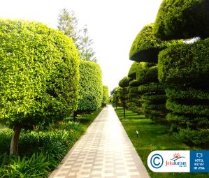 Poze Concorde De Luxe Resort 10