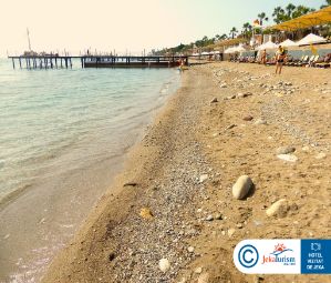 Poze Crystal Flora Beach Resort 19