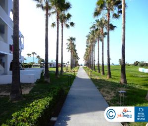 Poze Delfina Tropic Beach 13