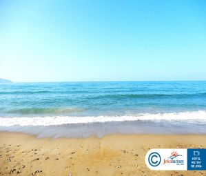 Poze Delfina Tropic Beach 16