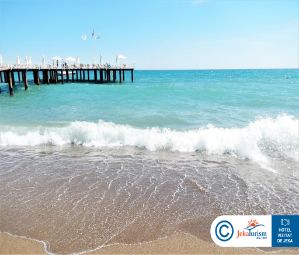 Poze Delphin Diva Premiere 23