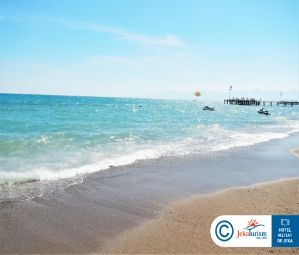 Poze Delphin Imperial 16