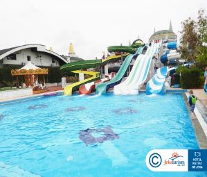 Poze Delphin Imperial 8