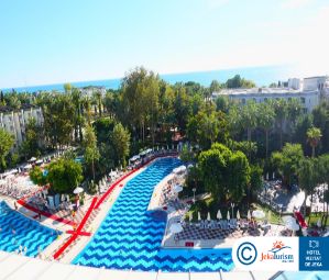 Poze Delphin Platinum 10