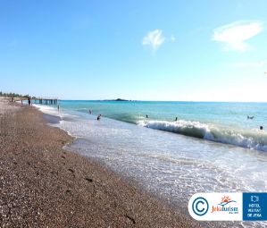 Poze Delphin Platinum 11