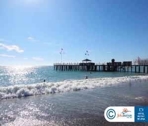 Poze Delphin Platinum 12