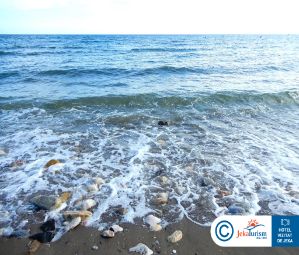 Poze Don Pepe Gran Melia 19